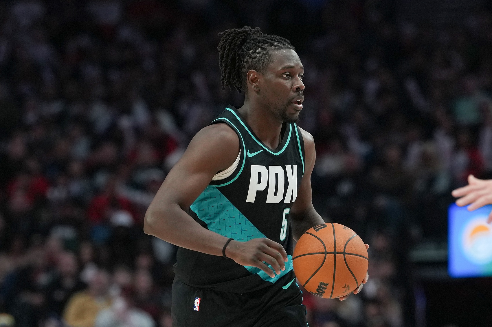 霍勒迪断言：过去三年我在森林狼就会夺冠